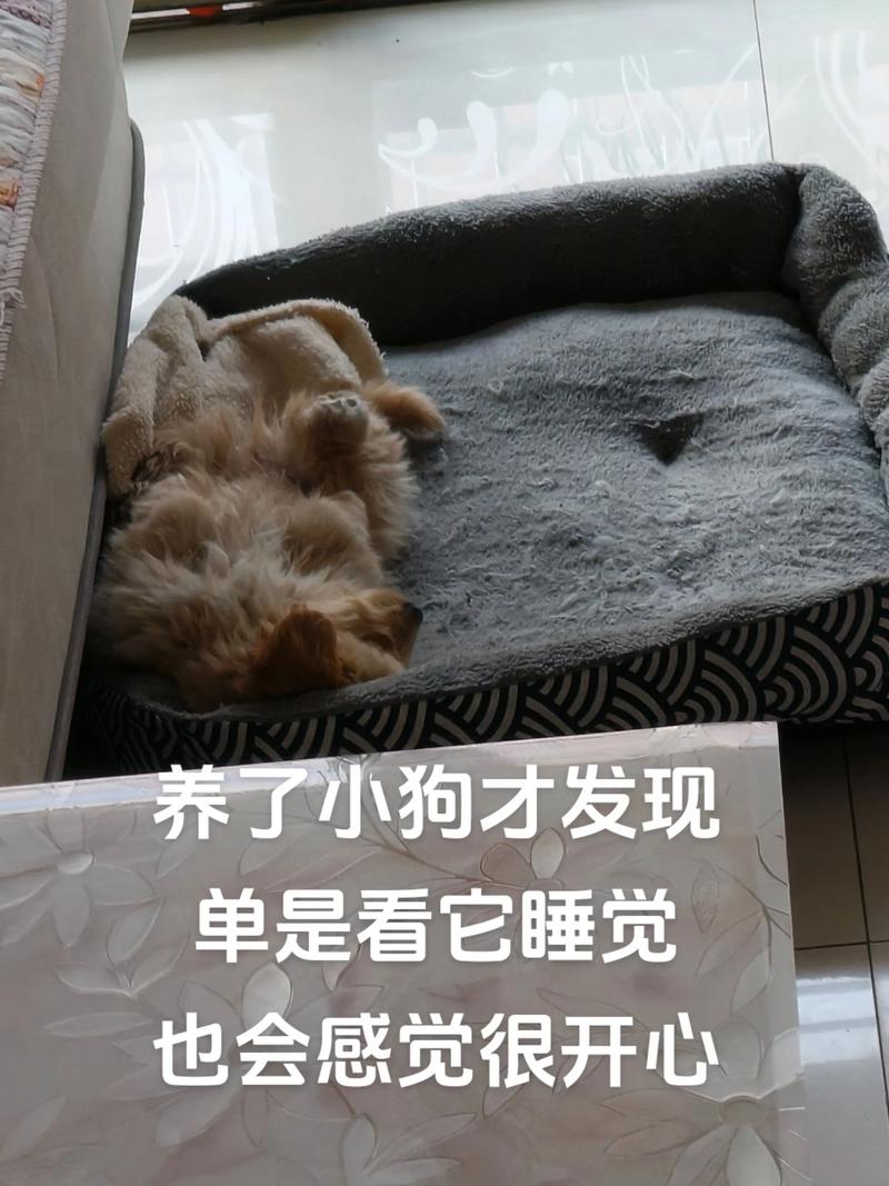 四仰八叉打一生肖,四仰八叉睡觉为什么不好
