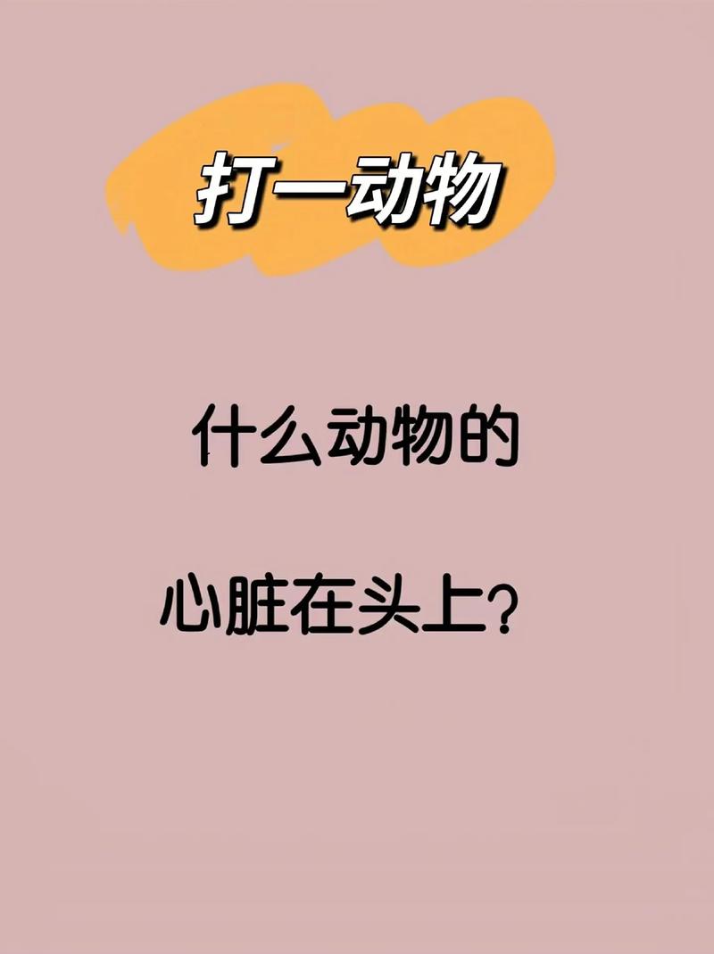 关于正确答案打一动物?过街老鼠的信息