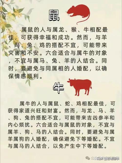 先声夺人比喻什么生肖,先声夺人比喻什么生肖动物