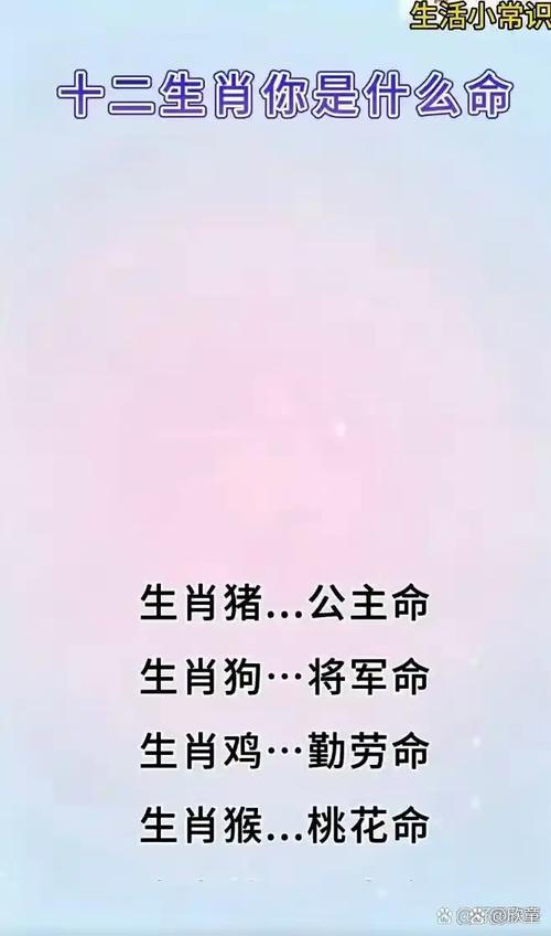 刀下留人打一数字,刀下留人打一数字生肖