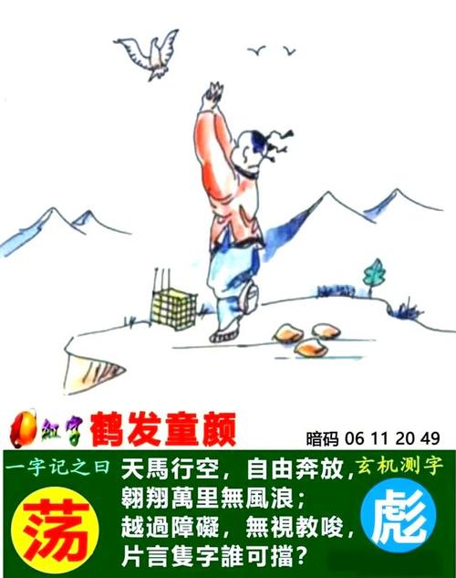 鹤发童颜的生肖指什么生肖,鹤发童颜的生肖指什么生肖百度知道
