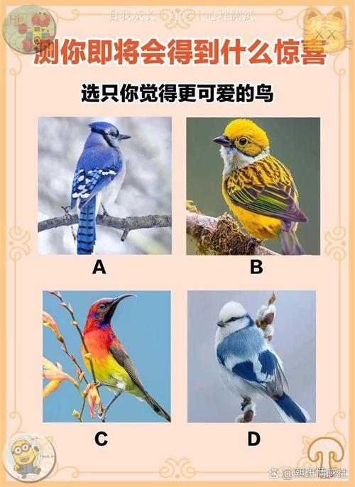 代表正确答案的动物,代表正确答案的动物是什么