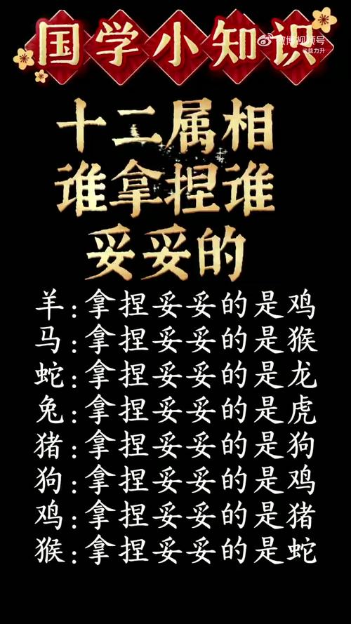 至亲骨肉打一动物,至亲骨肉是什么生肖