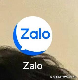 zalo越南汉化版,zalo 越南版下载