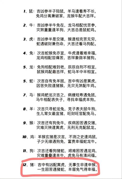 打一生肖指什么意思,打一生肖指什么意思啊