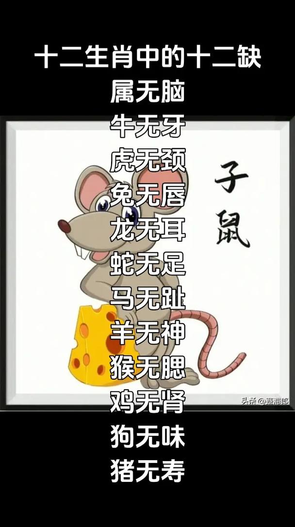 缺字打一准确动物,缺代表什么生肖动物