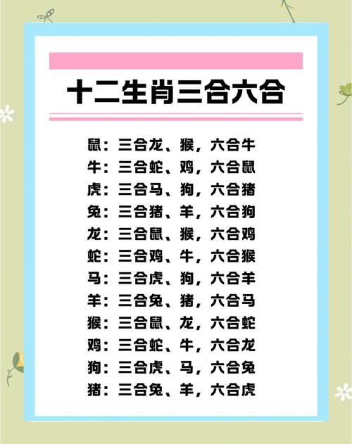 今期特肖与家关是什么生肖,今期特肖与家关是什么生肖年