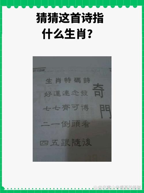 祸打一肖最佳答案,祸肖是什么生肖正确答案