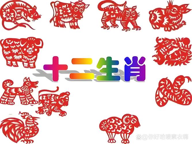 今期特数出在狗打一动物,今期之数中特玛是什么生肖