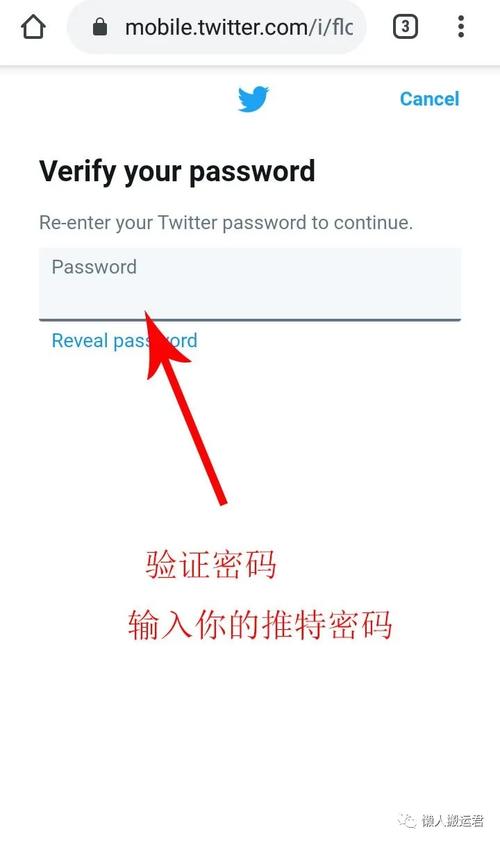 telegeram在国内如何使用,telegram在中国怎么用2021