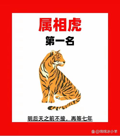 虎生肖正确答案,照猫画虎生肖正确答案