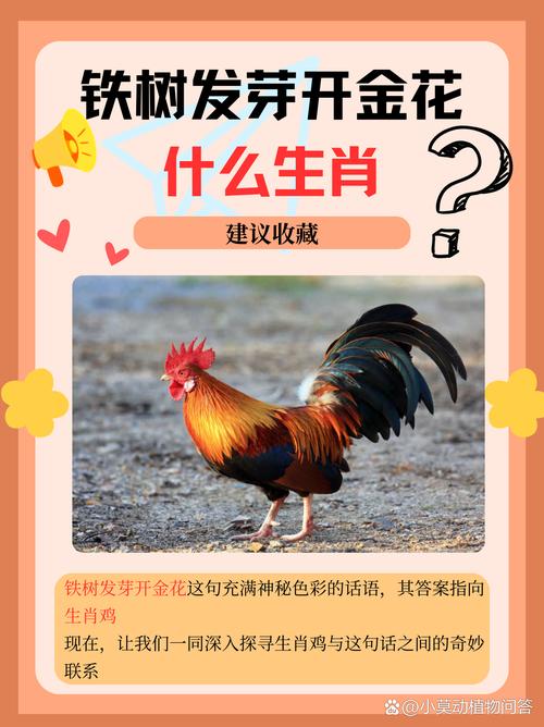 今期生肖找大哥打一个正确生肖!,今期生肖找大哥打一个正确生肖求最佳一生肖