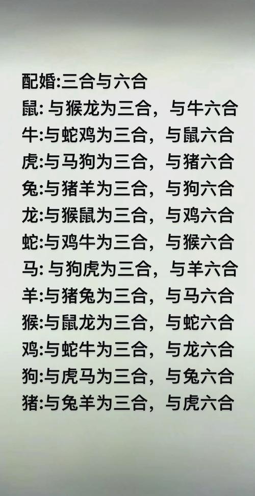 今期生肖家来正确答案,今期特肖与家关指哪个动物