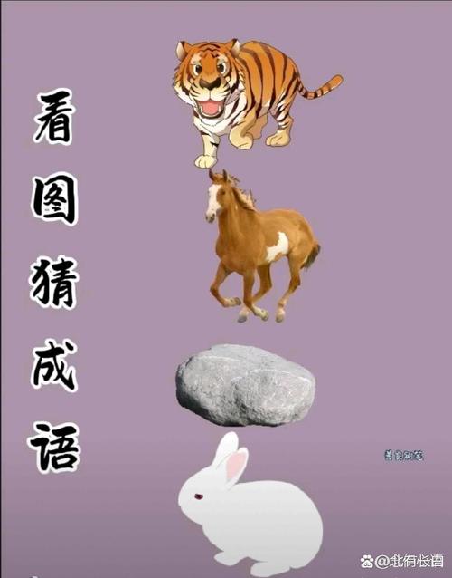 一五一十猜生肖兔还是虎,一五一十猜生肖兔还是虎好