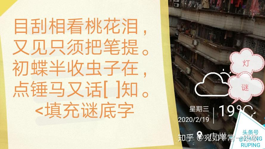 弃中卒打一数字,弃中卒打一数字谜底