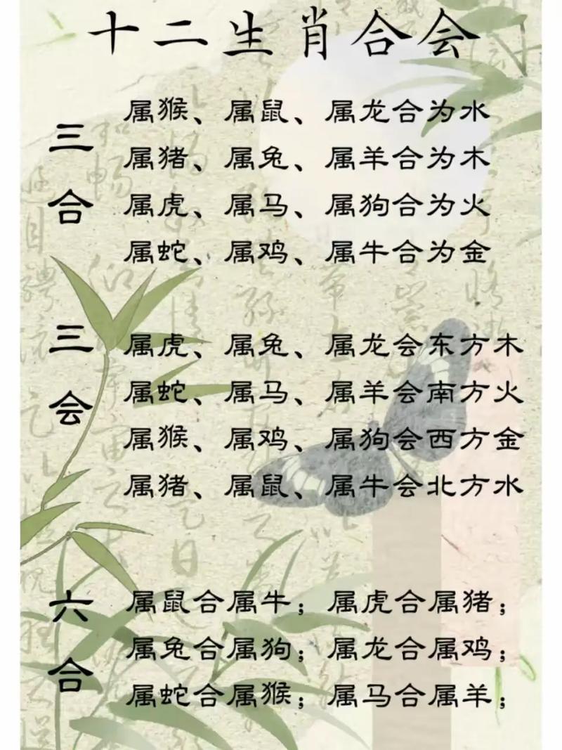 是啥生肖,执两用中是啥生肖