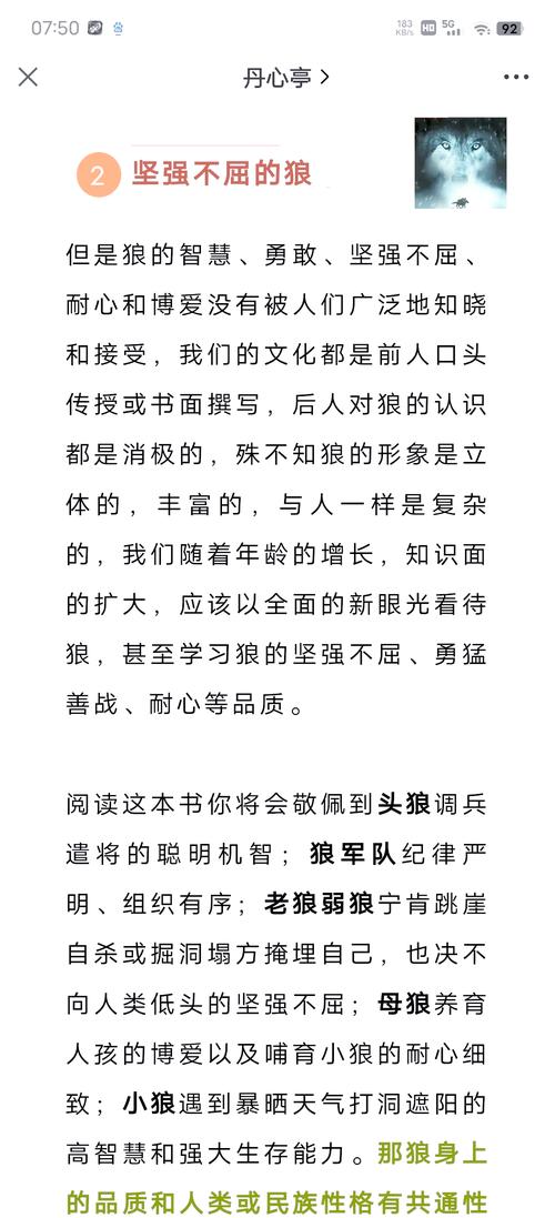 狼代表什么生肖,狼代表什么生肖?