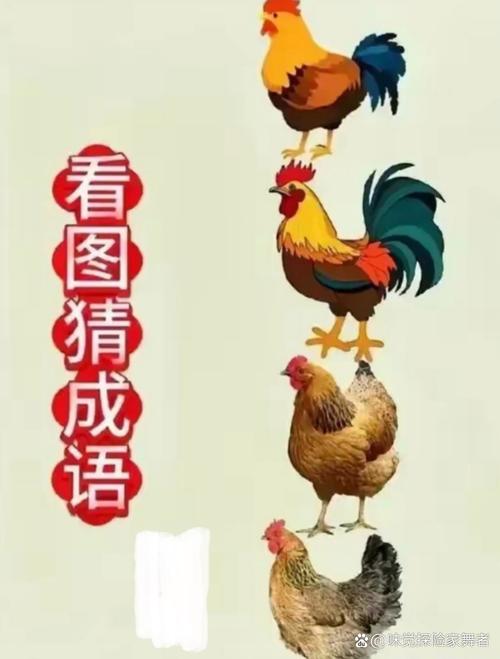 三言两语猜最精准一肖,三言两语猜最精准一肖是什么