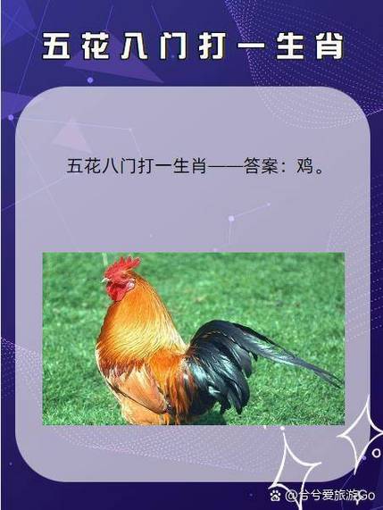 打一生肖最准确答案,左宜右有打一生肖最准确答案