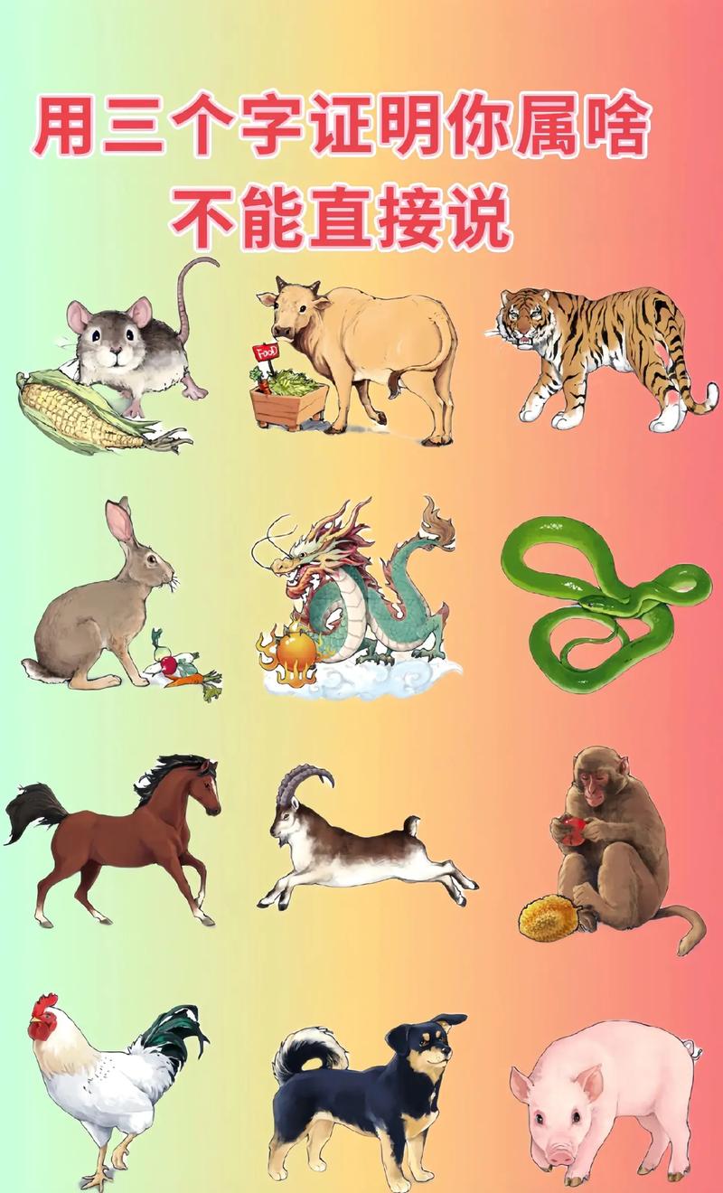 字正腔圆打一准确生肖,字正腔圆打一准确生肖动物