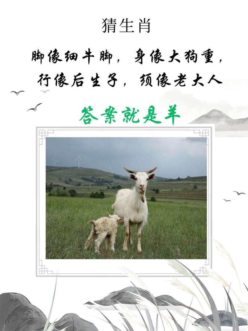 正确答案最佳答案一肖,正确答案最佳答案一肖是什么生肖