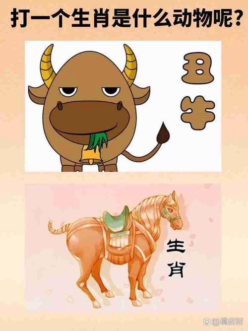 一般打一个最佳生肖,一般打一个最佳生肖是什么