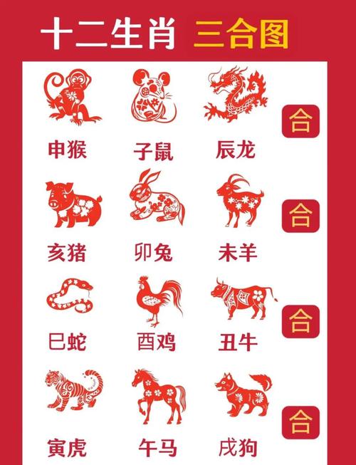 一前一后打一最佳生肖,一前一后在今期是什么生肖