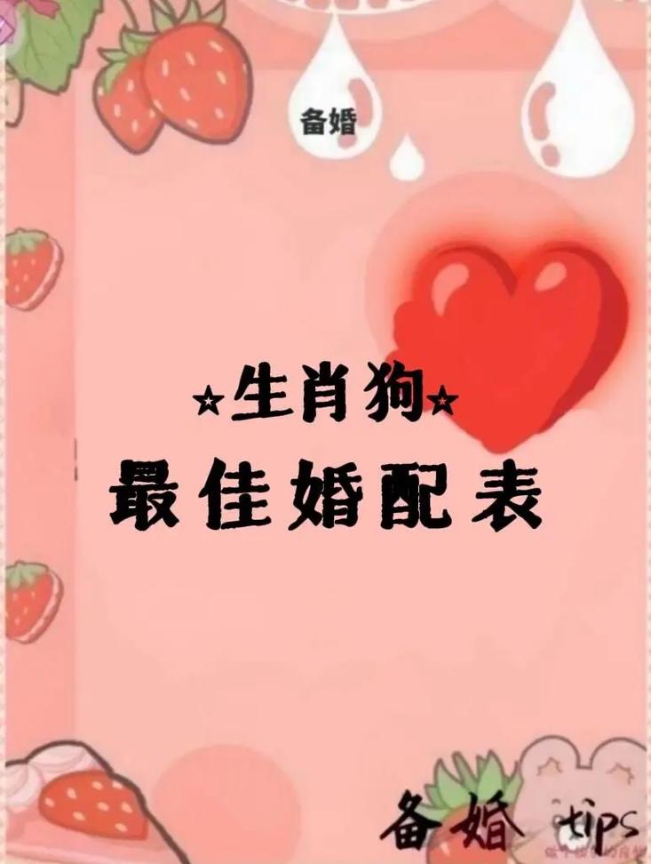 十二生肖属狗婚配表,十二生肖属狗婚配表图片