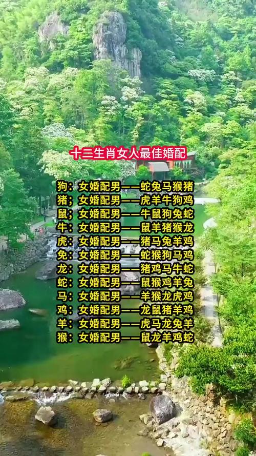 佳人开过什么生肖,佳人是指的什么生肖
