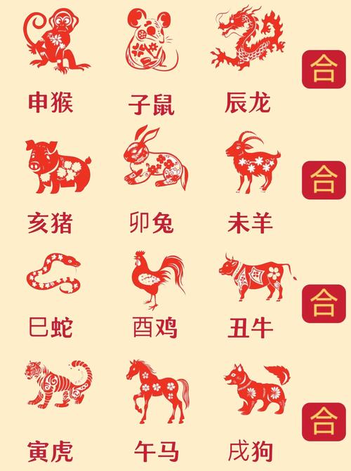 2025十二生肖49码对照图,2025十二生肖49码表开奖结果