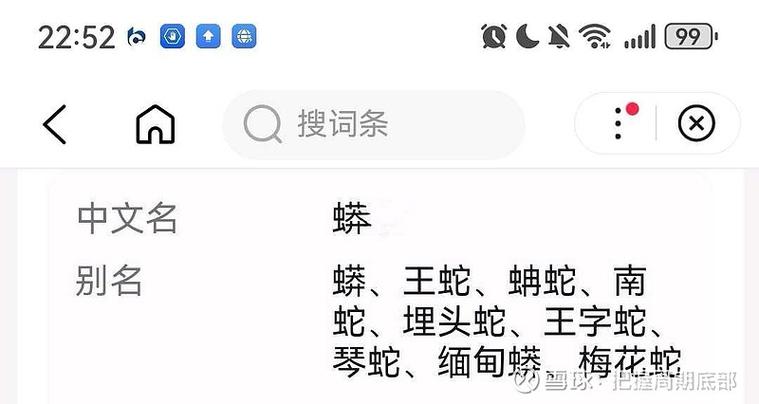 包含错过时机打一生肖谜底的词条