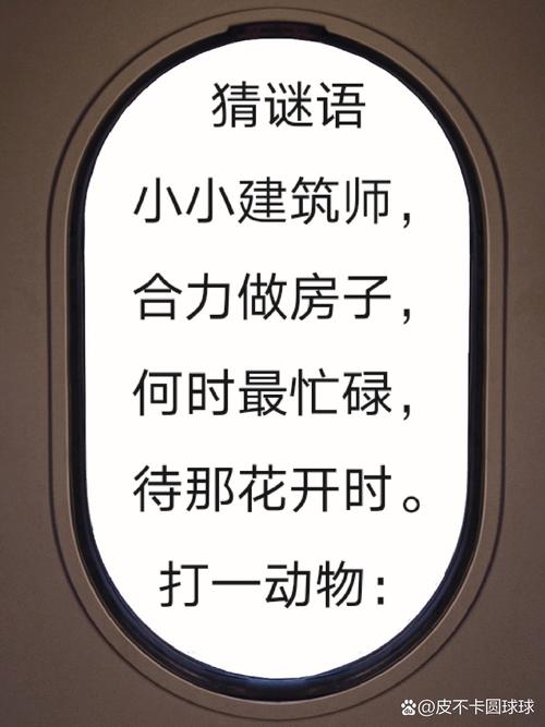 关于动物的谜语1000个,关于动物的谜语1000个图片