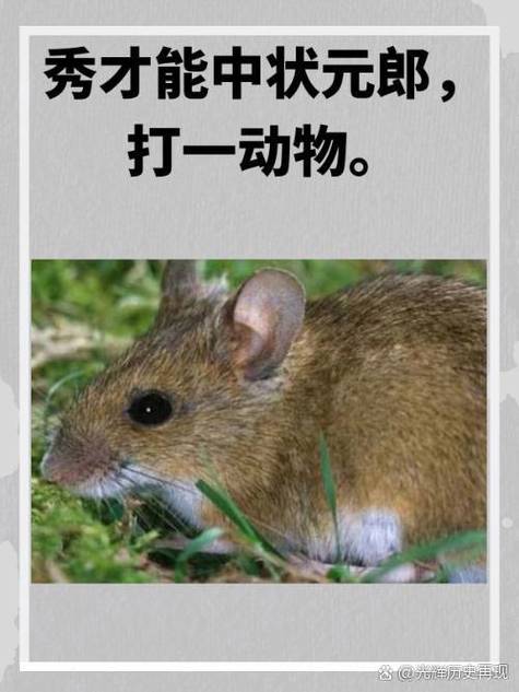 狠复自用打一生肖,狠愎自用打一准确生肖