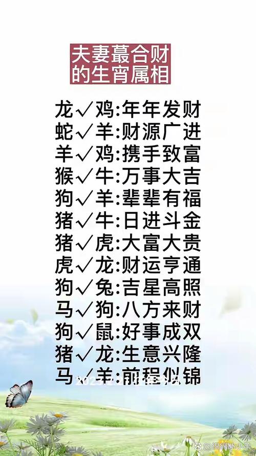 正确答案是什么生肖,一方万金的正确答案是什么生肖