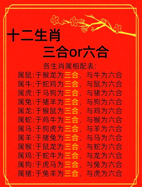 二人三足猜数字生肖,二人三足最准确生肖数字