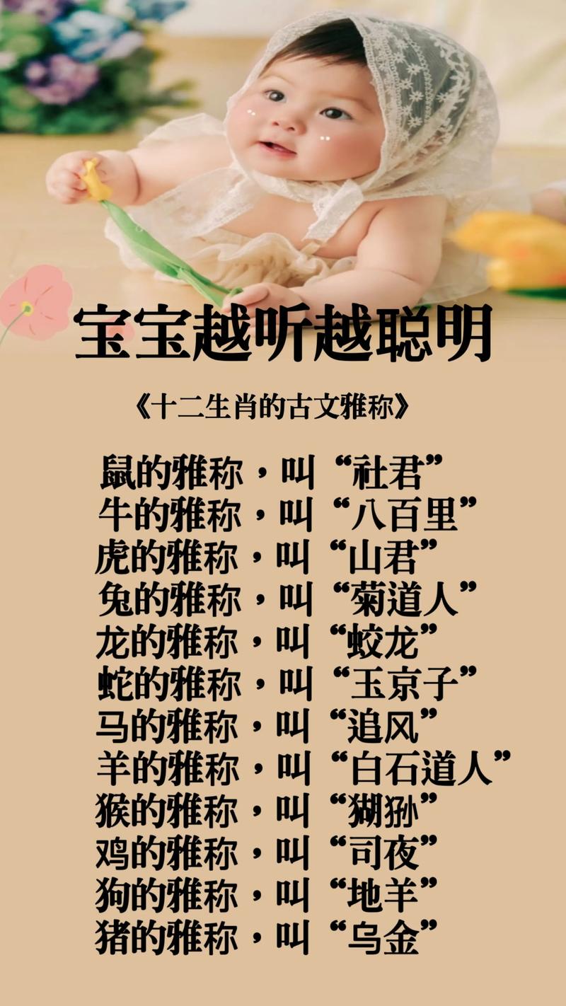 肉打一称谓,肉指的是什么生肖