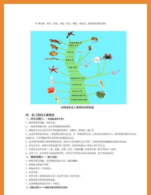 关于大学普通动物学知识点总结的信息
