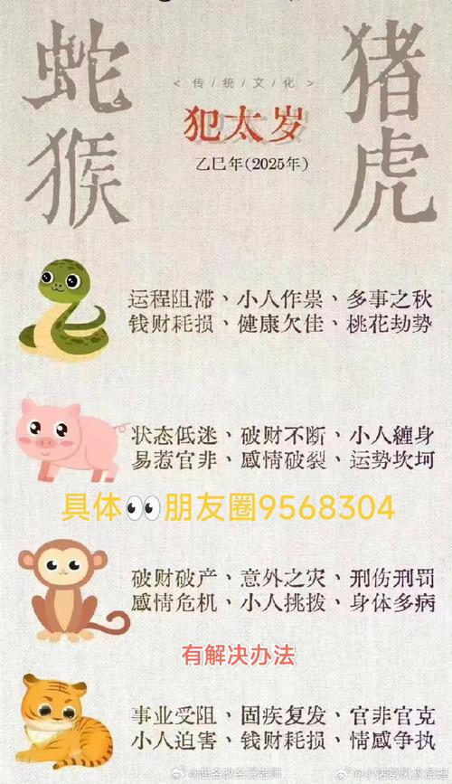 人老珠黄打一生肖是什么,人老珠黄打一生肖是什么动物