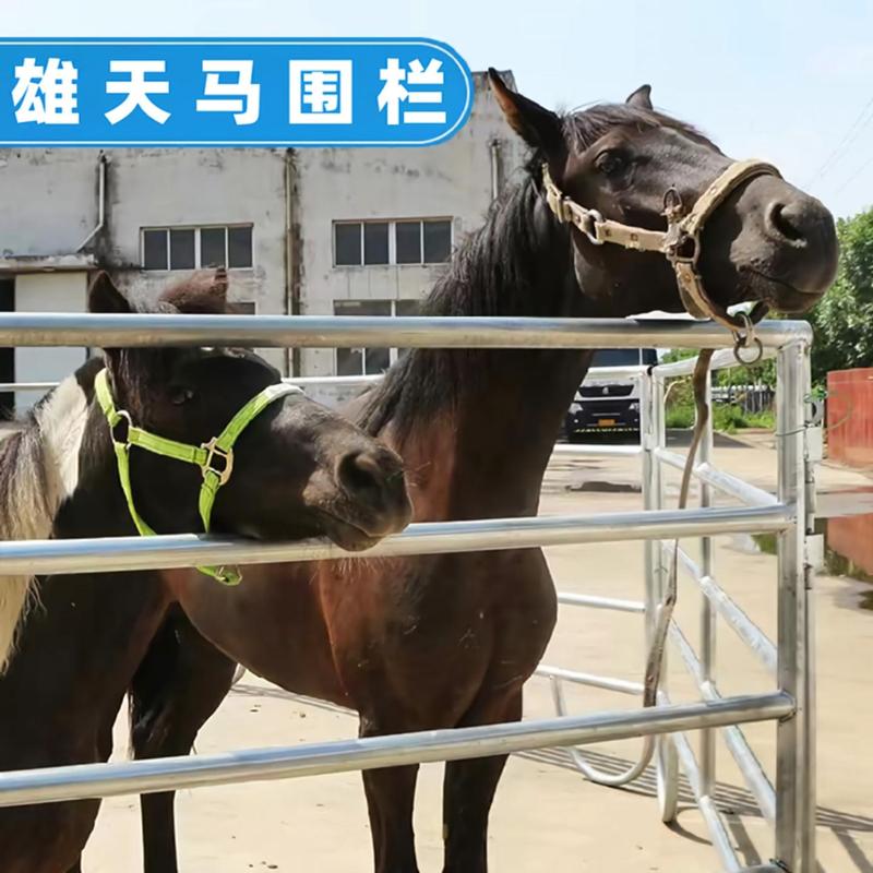 马术盛装舞步围栏图片,马术盛装舞步围栏图片高清