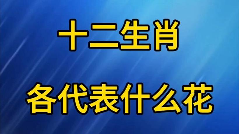 今期生肖大将军最佳生肖是哪个,今期生肖看将军,美女送特开金花