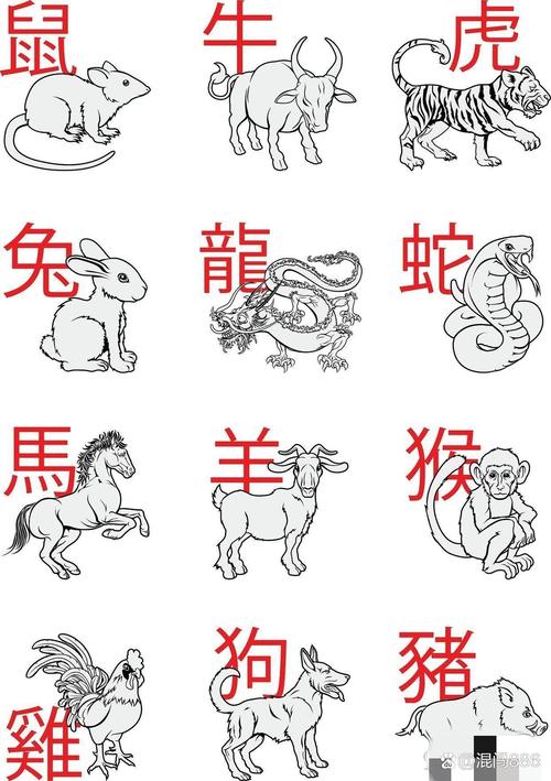 九州指的是什么生肖,九州指的是什么生肖和动物