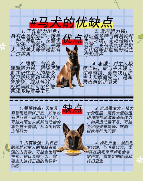 昂首阔步的意思打一生肖,昂首阔步的准确生肖是什么