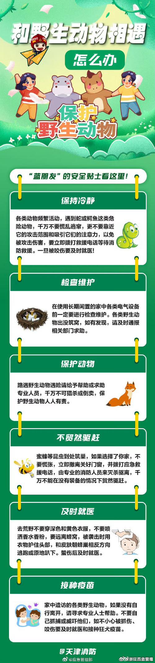 涉猎打一动物,涉猎打一动物谜底