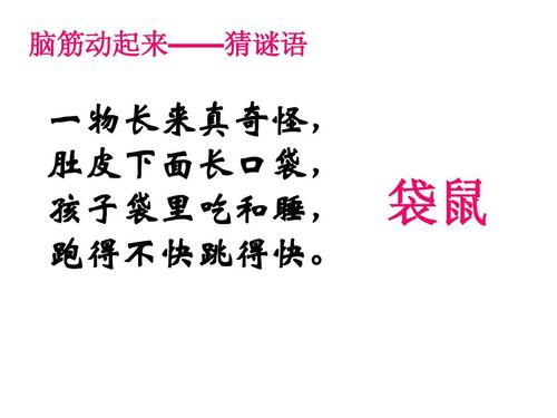 袋鼠猜一数字,打一动物的谜语袋鼠
