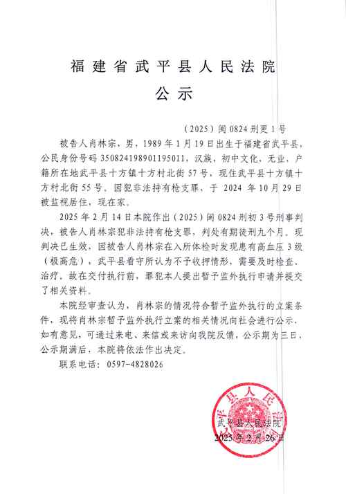 肖雷违纪违法,肖某违规违纪违法问题