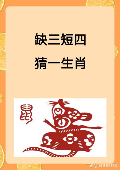 寻字打一生肖,寻字打一生肖谜底
