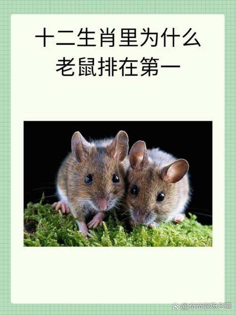 牛衣对泣正确生肖答案的简单介绍