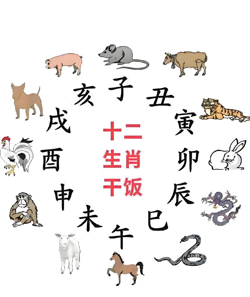 2025最新码表图,2025蛇年生肖49码表