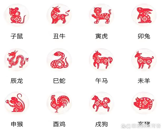 所归代表动物,归代表什么动物生肖