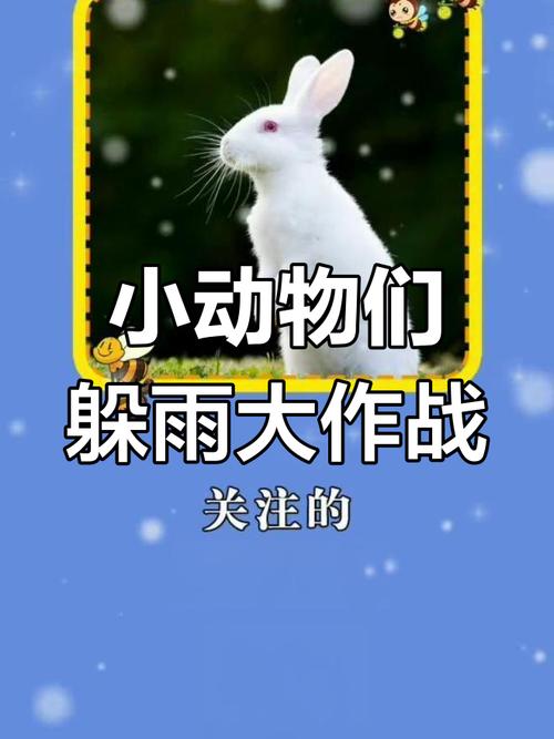 雨露均沾名声好打一动物,雨露均沾名声好形容什么动物